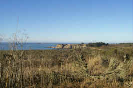 Ano Nuevo preserve