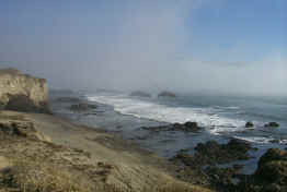 Rocky beach near the elephant seal preserve