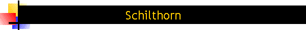 Schilthorn
