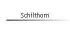 Schilthorn