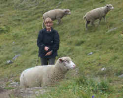 Care looks sheepish!