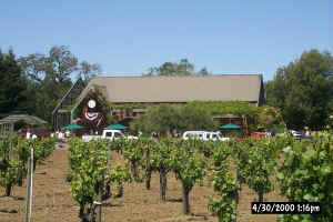 Quivera Winery