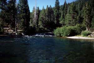 Truckee River - View from our Room