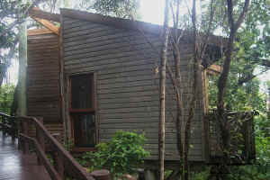 Our Tree House Room Exterior