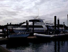 Our dive boat at Port Douglas Marina