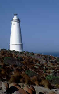 Kangaroo Is Lighthouse