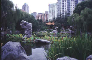 China Garden in Sydney