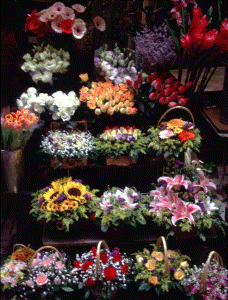 Beautiful Flowers from Hong Kong street vendor