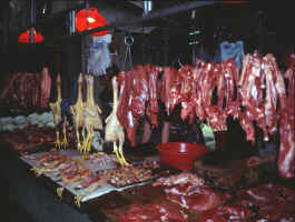 Inside the Meat Market