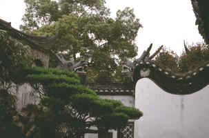 Yuyuan Garden Walls