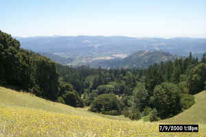 View of Napa 