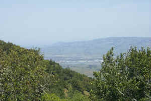 Petaluma (with airport in background)