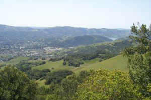 A view of novato