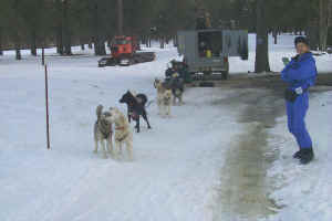 Care and the Huskies at Northstar