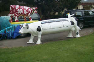A limo cow