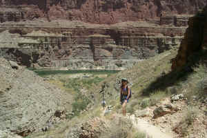 Care Hiking Saddle  Canyon
