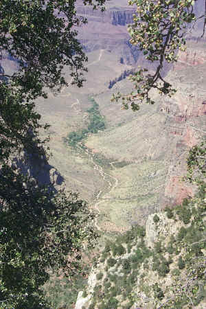 South Rim Trail