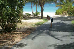 Tourist photgraphing a lizard