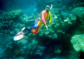 Harry picking out some of the more interesting sea life