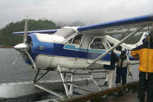 Beaver Docking