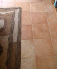 Family Room Carpet and Tile