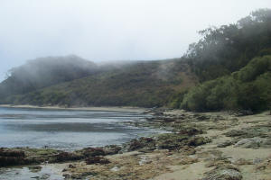 Tomales Beach