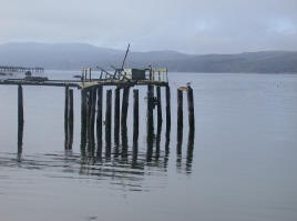 Dock in the fog