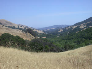 Down the Lucas Valley