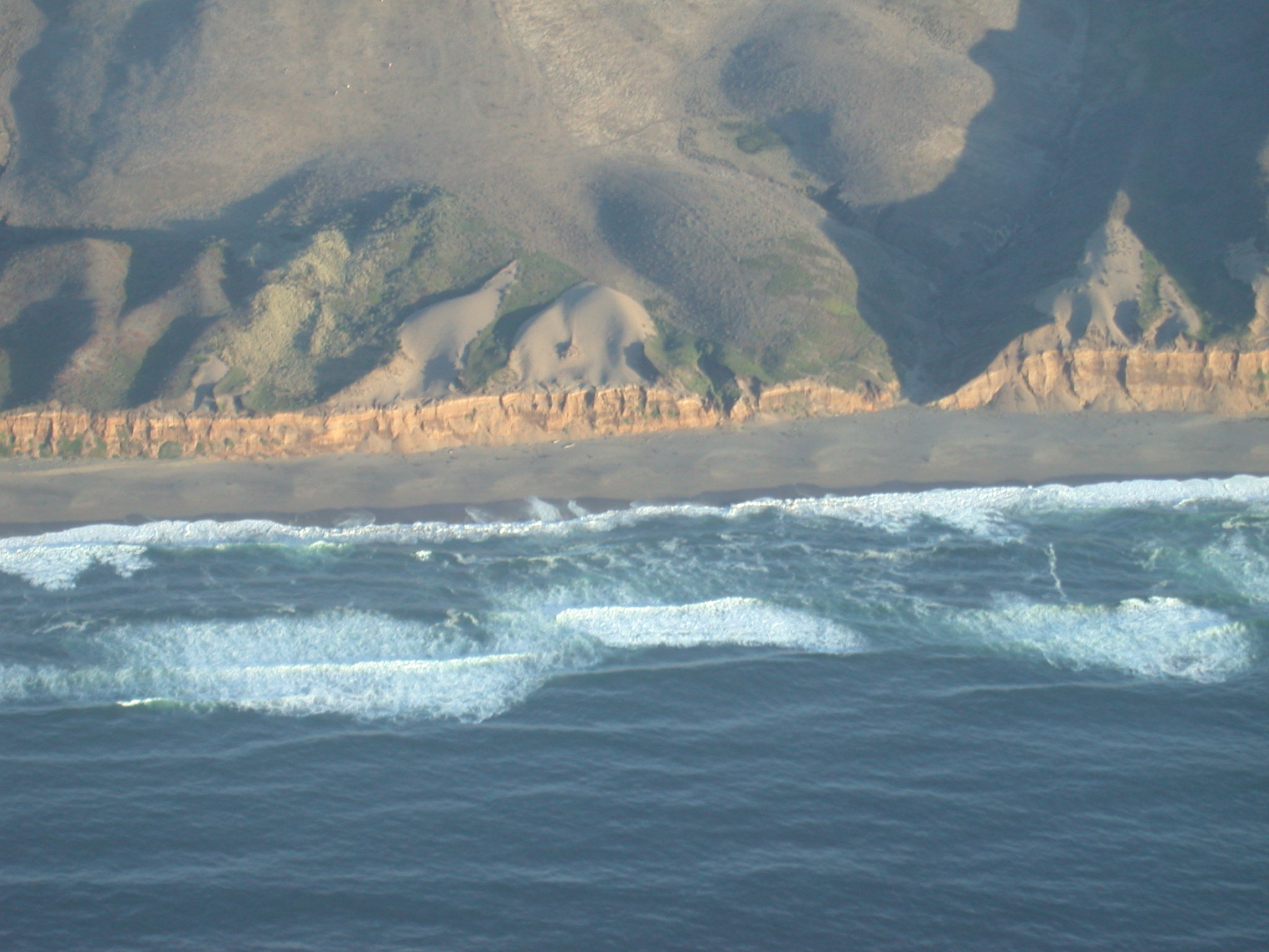 Pt. Reyes Beach