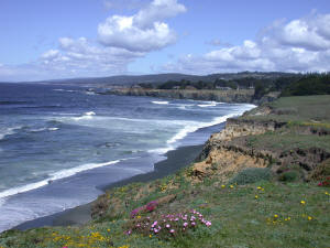 Beach View