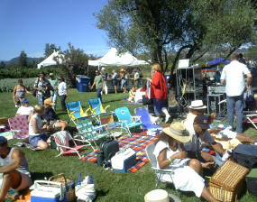 Crowd before the concert