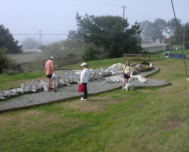 Whale Bones