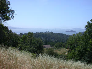 The view toward Peacock Gap