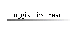 Buggi's First Year