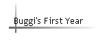 Buggi's First Year