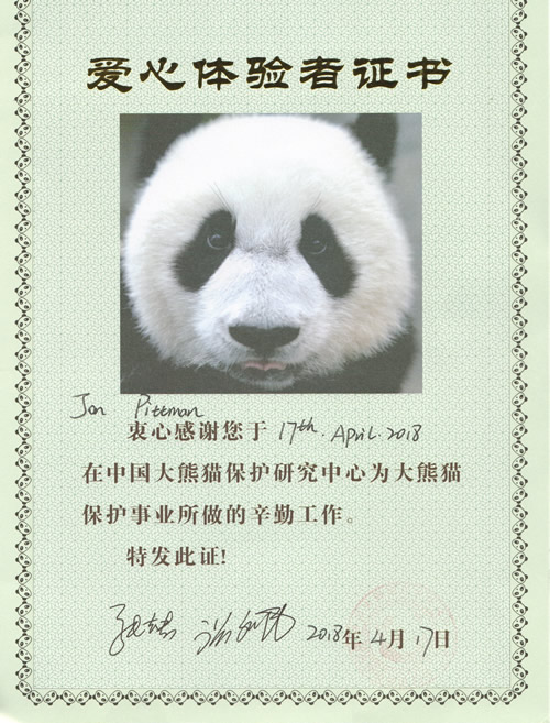 Jon Panda Certificate