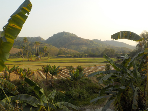 Lao countryside