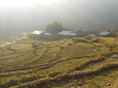Black Hmong Village