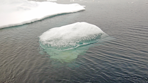 Ice Floe