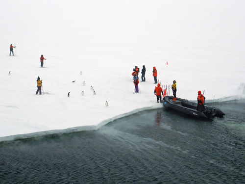 Penguins and Crew