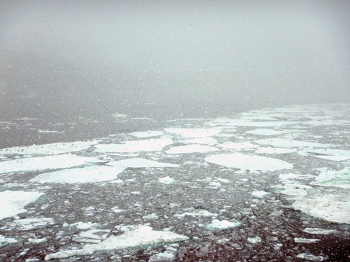 Cruising Through the Ice