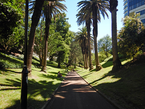 Aukland Park