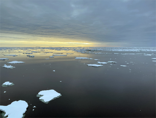 Amundsen Sea Icebergs