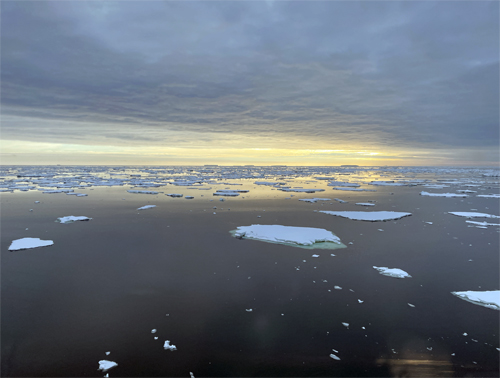 Amundsen Sea Icebergs