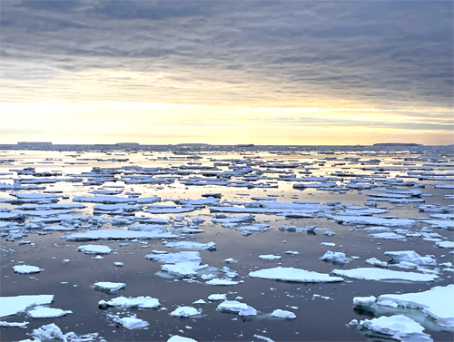 Amundsen Sea Icebergs