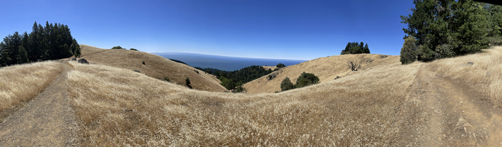 Mt. Tam Ocean Panorama