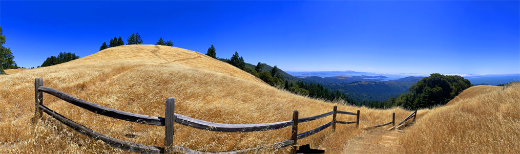 Mt. Tam City Panorama