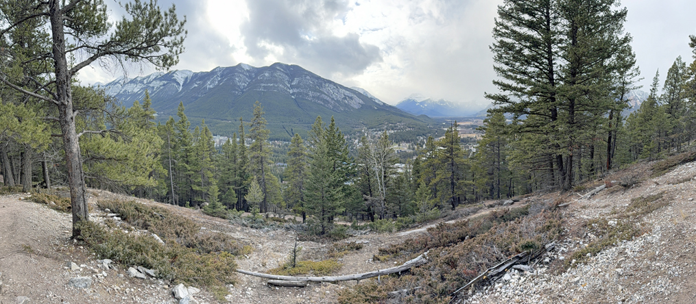 From Tunnel Mountain