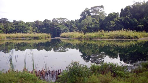 Pulau Ubin quarry