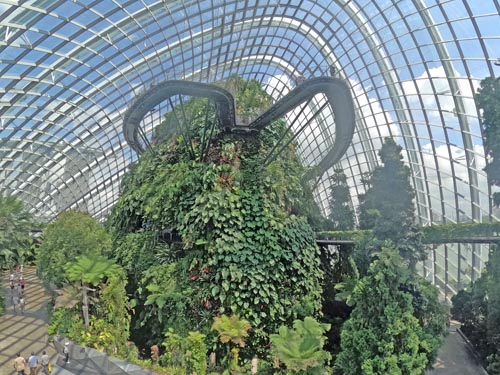 Cloud Forest